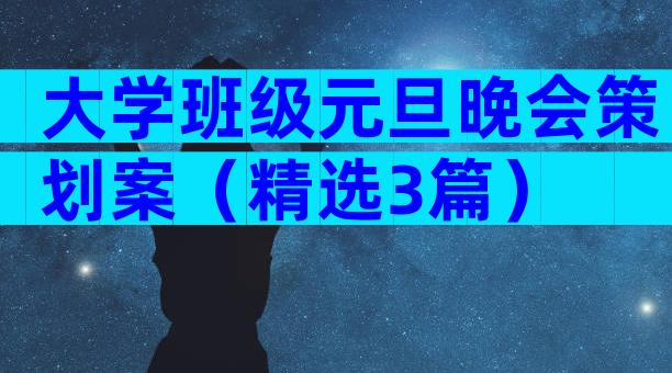 大学班级元旦晚会策划案（精选3篇）