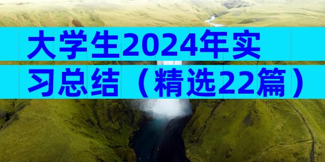 大学生2024年实习总结（精选22篇）