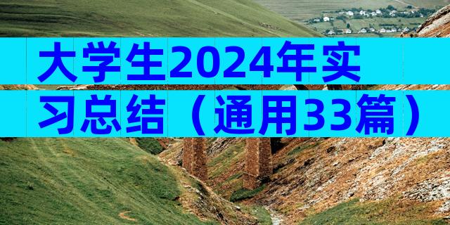 大学生2024年实习总结（通用33篇）