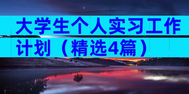 大学生个人实习工作计划（精选4篇）