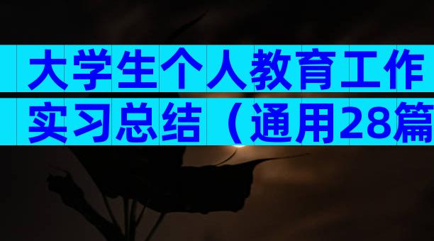大学生个人教育工作实习总结（通用28篇）