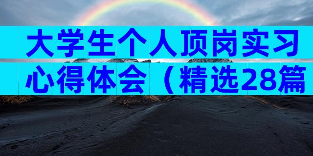 大学生个人顶岗实习心得体会（精选28篇）