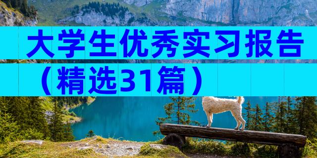 大学生优秀实习报告（精选31篇）