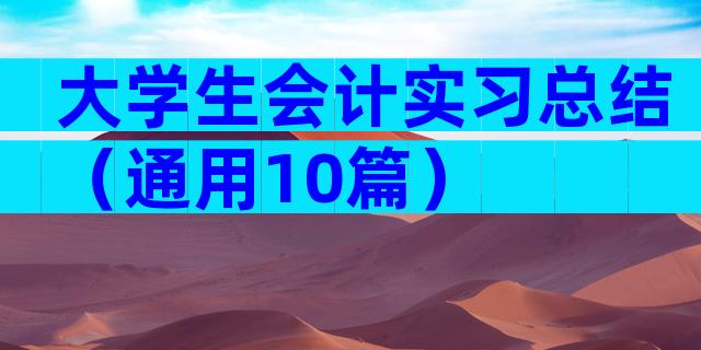 大学生会计实习总结（通用10篇）