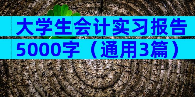 大学生会计实习报告5000字（通用3篇）