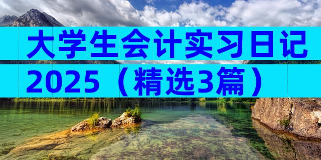 大学生会计实习日记2025（精选3篇）