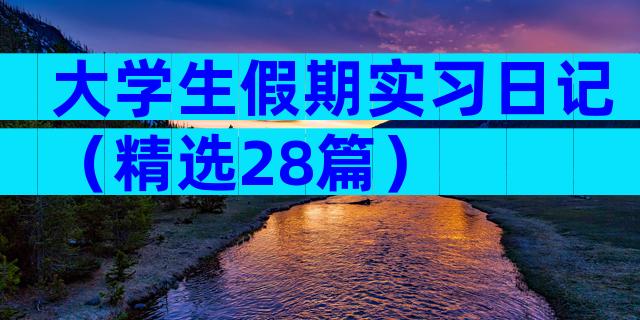 大学生假期实习日记（精选28篇）