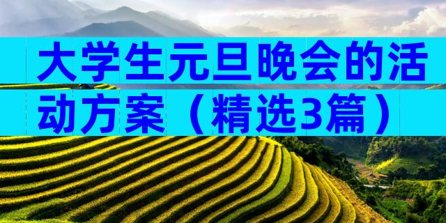 大学生元旦晚会的活动方案（精选3篇）