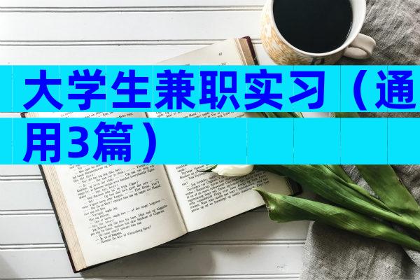 大学生兼职实习（通用3篇）