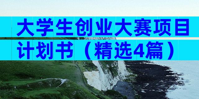 大学生创业大赛项目计划书（精选4篇）