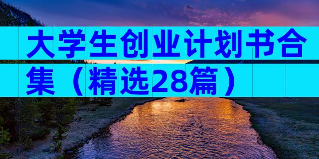 大学生创业计划书合集（精选28篇）