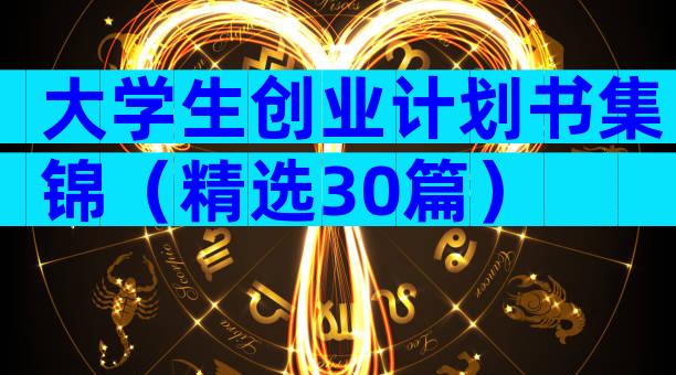 大学生创业计划书集锦（精选30篇）