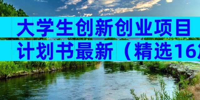 大学生创新创业项目计划书最新（精选16篇）