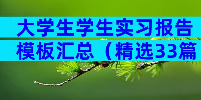 大学生学生实习报告模板汇总（精选33篇）