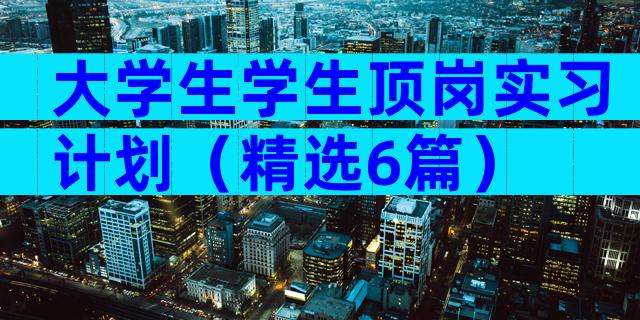 大学生学生顶岗实习计划（精选6篇）