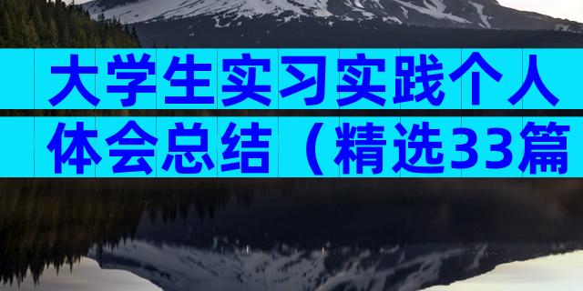 大学生实习实践个人体会总结（精选33篇）