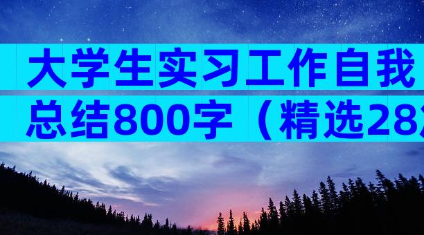大学生实习工作自我总结800字（精选28篇）