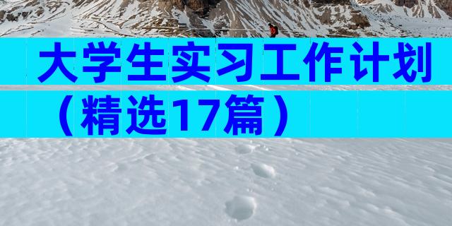 大学生实习工作计划（精选17篇）