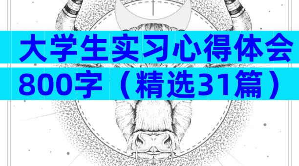 大学生实习心得体会800字（精选31篇）