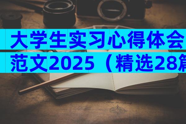 大学生实习心得体会范文2025（精选28篇）