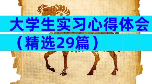 大学生实习心得体会（精选29篇）