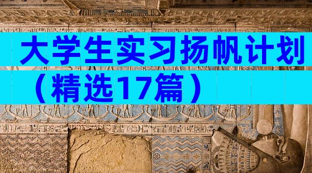 大学生实习扬帆计划（精选17篇）