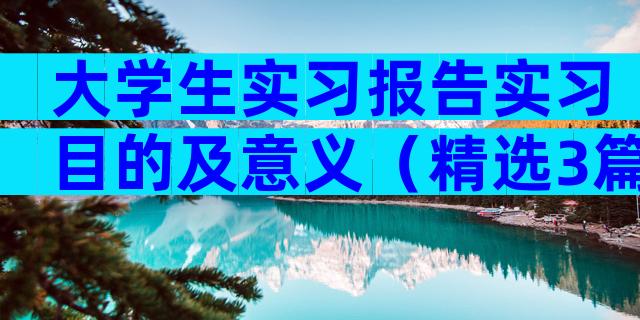 大学生实习报告实习目的及意义（精选3篇）