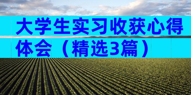 大学生实习收获心得体会（精选3篇）