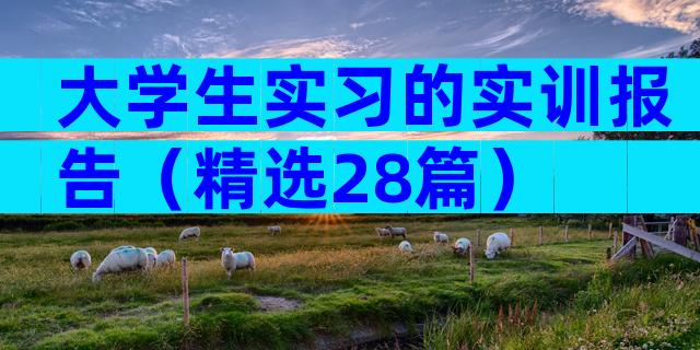 大学生实习的实训报告（精选28篇）