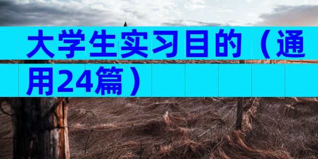 大学生实习目的（通用24篇）