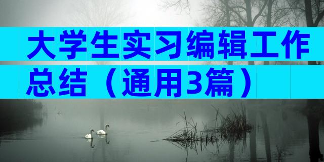 大学生实习编辑工作总结（通用3篇）