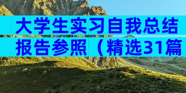 大学生实习自我总结报告参照（精选31篇）