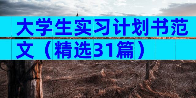 大学生实习计划书范文（精选31篇）