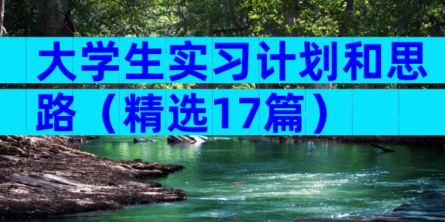 大学生实习计划和思路（精选17篇）