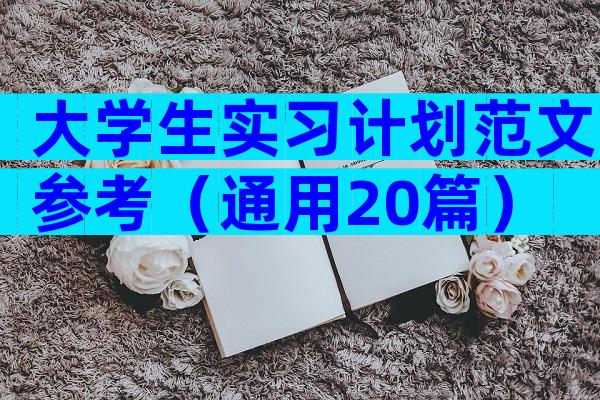大学生实习计划范文参考（通用20篇）