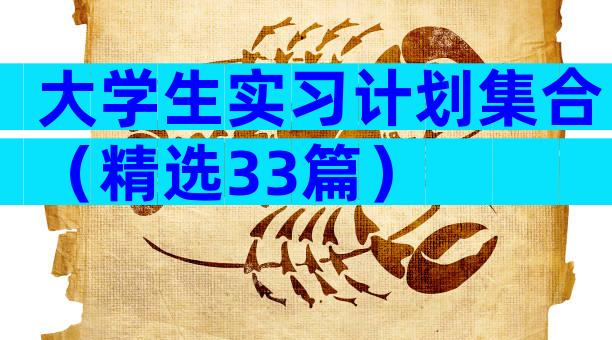 大学生实习计划集合（精选33篇）
