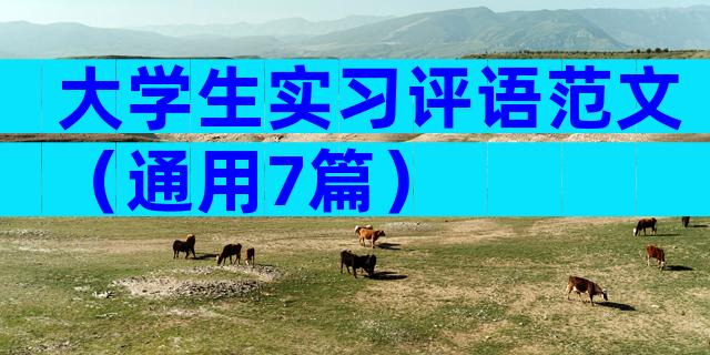 大学生实习评语范文（通用7篇）