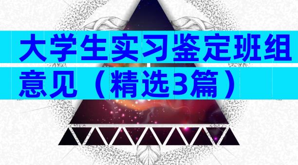 大学生实习鉴定班组意见（精选3篇）