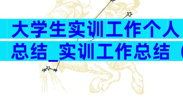 大学生实训工作个人总结_实训工作总结（通用28篇）