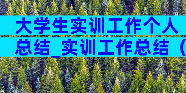 大学生实训工作个人总结_实训工作总结（通用31篇）