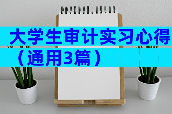 大学生审计实习心得（通用3篇）