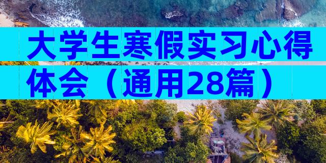 大学生寒假实习心得体会（通用28篇）