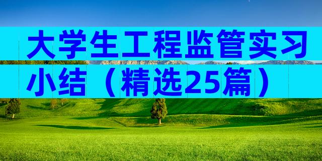 大学生工程监管实习小结（精选25篇）