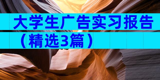 大学生广告实习报告（精选3篇）