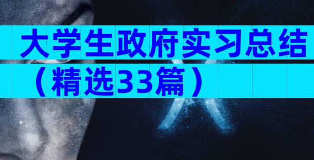 大学生政府实习总结（精选33篇）
