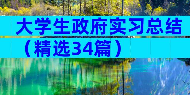 大学生政府实习总结（精选34篇）