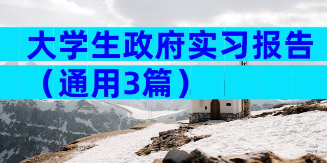 大学生政府实习报告（通用3篇）
