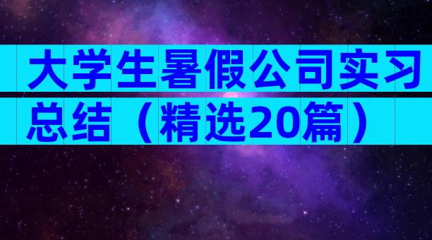 大学生暑假公司实习总结（精选20篇）