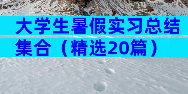 大学生暑假实习总结集合（精选20篇）