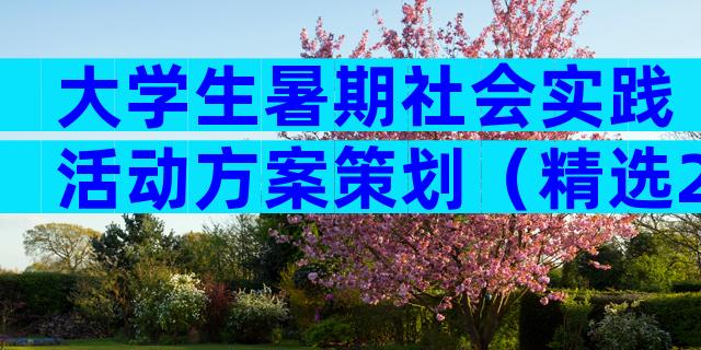 大学生暑期社会实践活动方案策划（精选21篇）